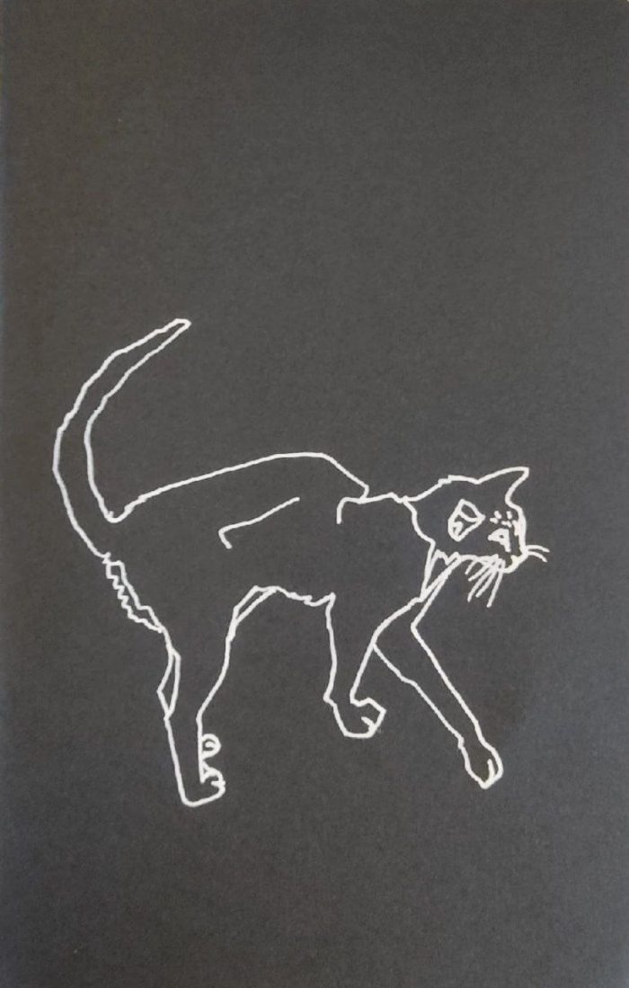 Кот