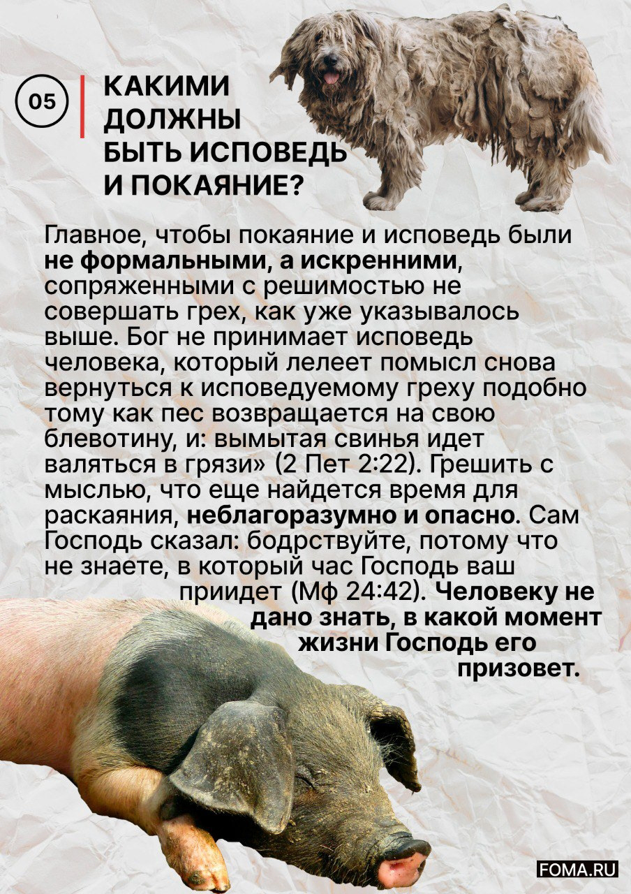 Исповедь